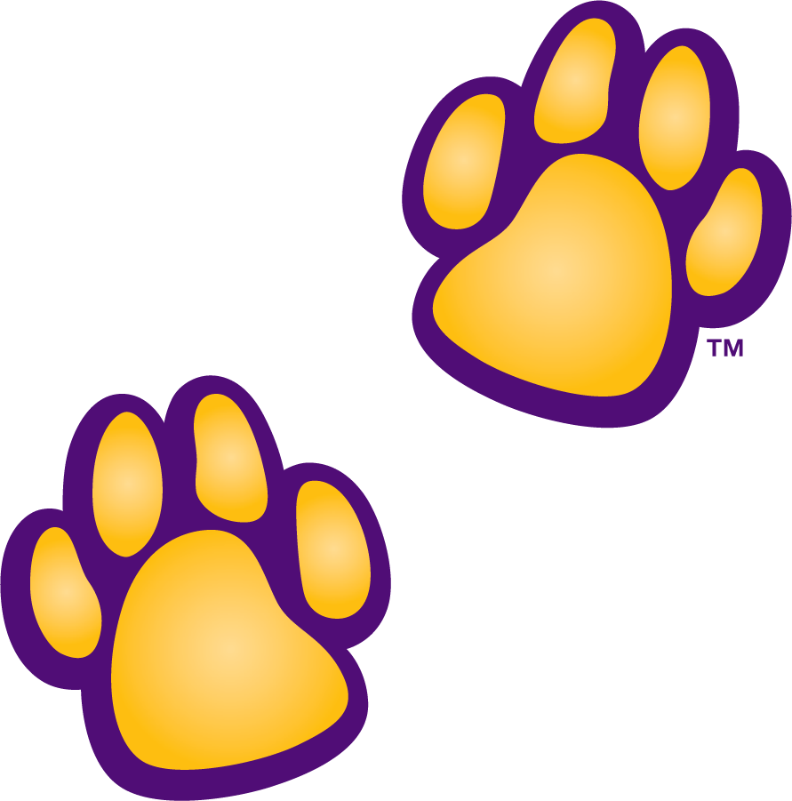 Northern Iowa Panthers 2021-Pres Secondary Logo iron on transfers for clothing